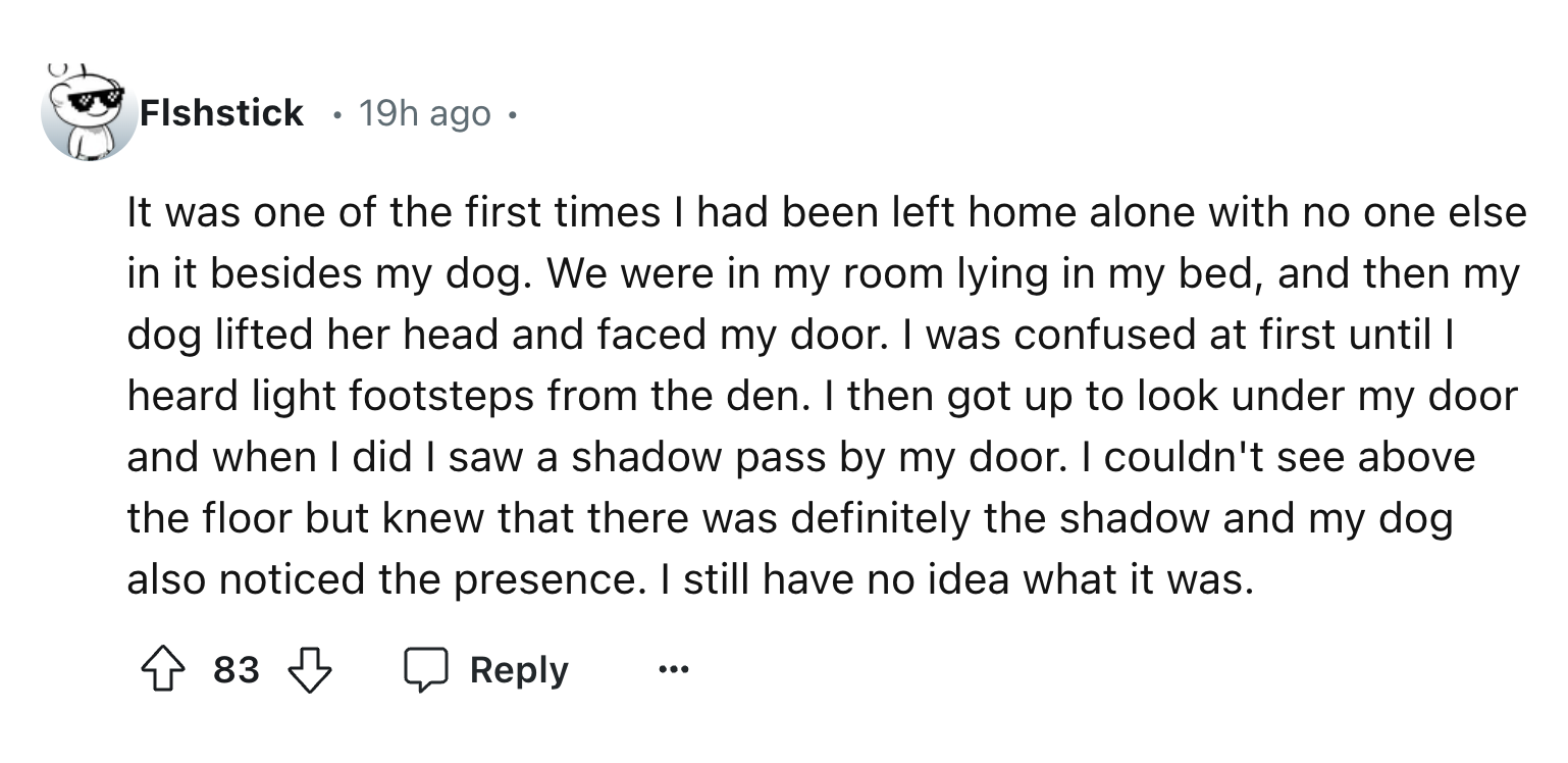 number - Flshstick 19h ago. It was one of the first times I had been left home alone with no one else in it besides my dog. We were in my room lying in my bed, and then my dog lifted her head and faced my door. I was confused at first until I heard light 